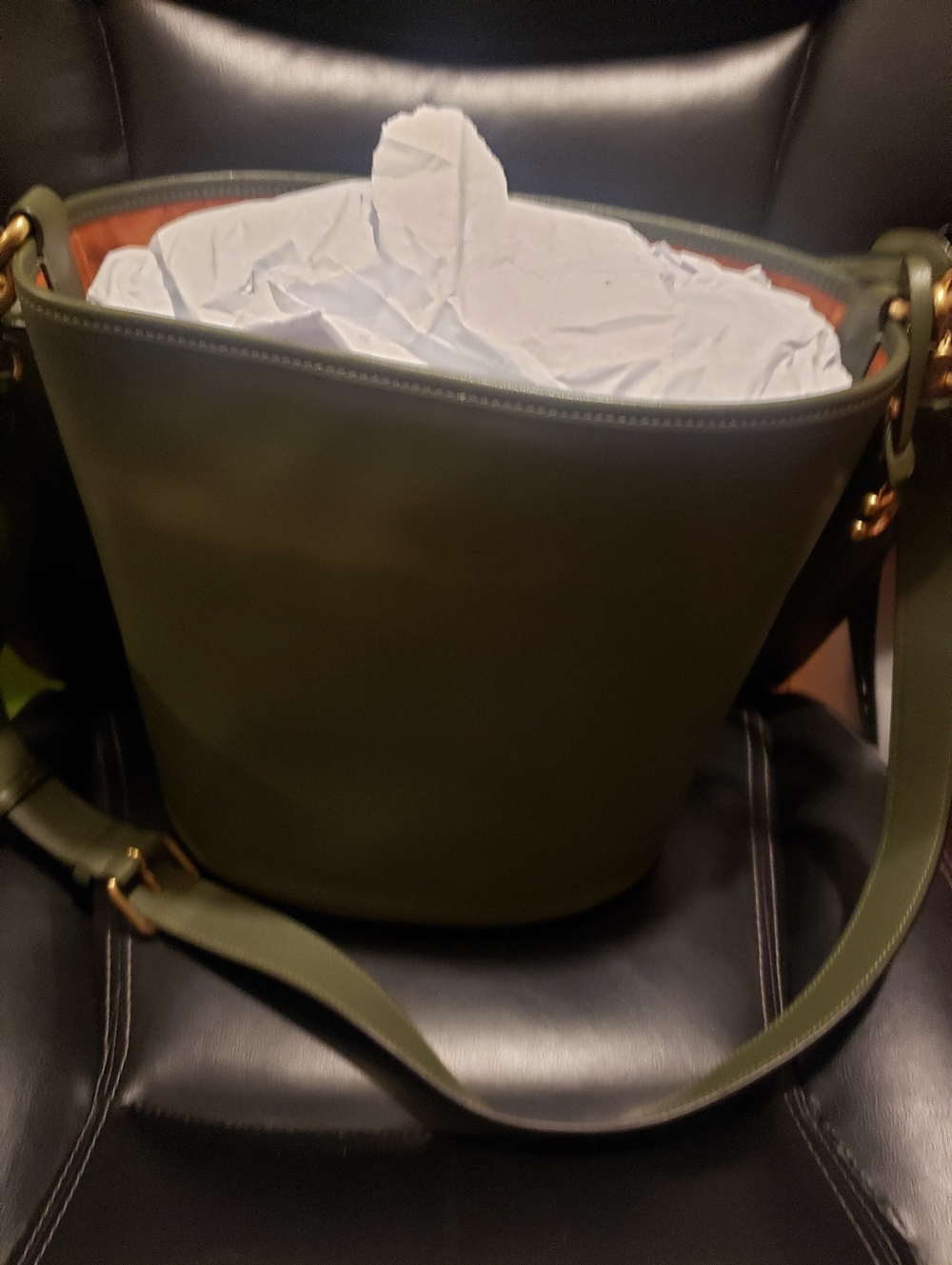 Coach Dakota Bucket Green